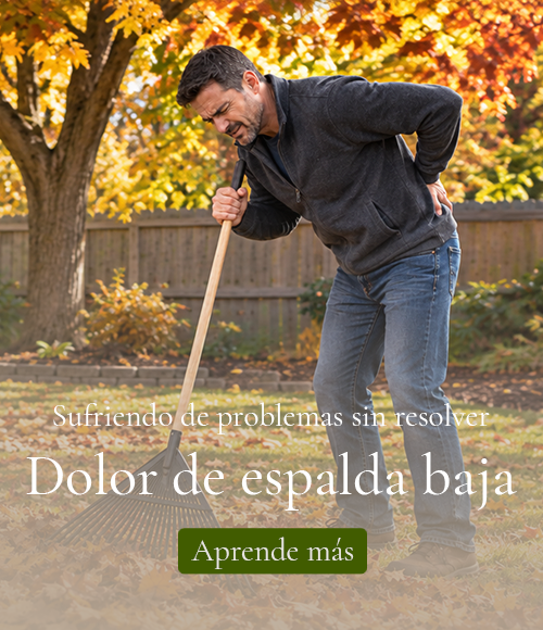 Un hombre que rastrilla las hojas del otoño y sufre dolor de espalda. Un hombre que rastrilla las hojas del otoño y sufre dolor de espalda.